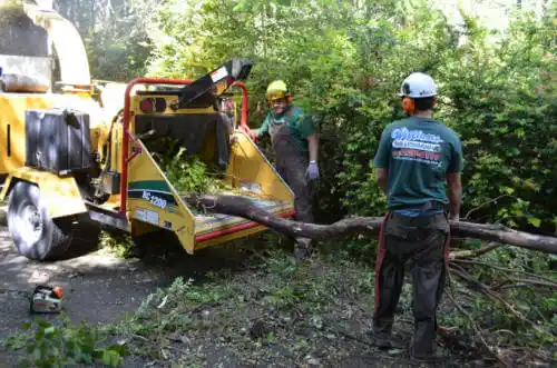 tree services Shenandoah